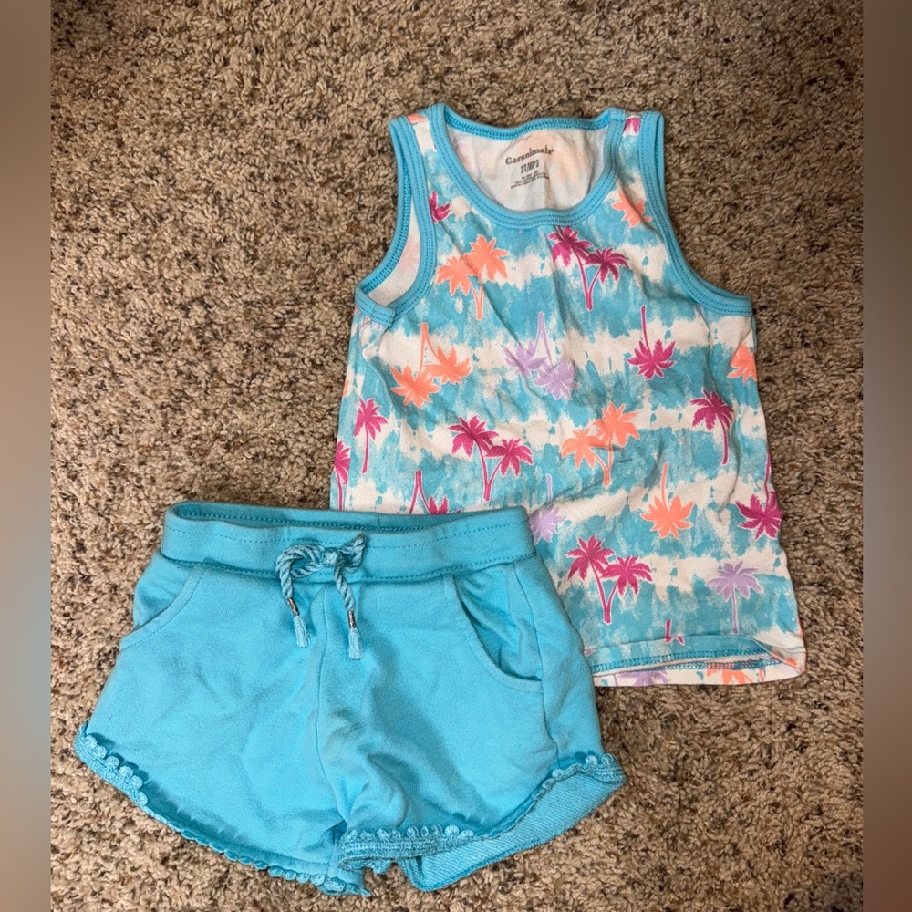 Garanimals Matching Set, 3T